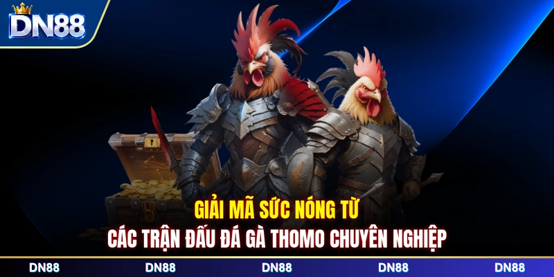 Giải mã sức nóng từ các trận đấu Đá gà Thomo chuyên nghiệp 