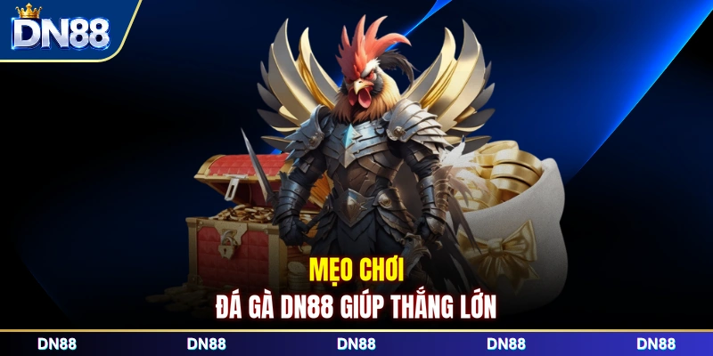 Mẹo chơi đá gà DN88 giúp thắng lớn