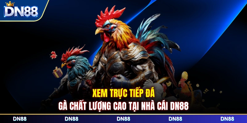 Xem trực tiếp đá gà chất lượng cao tại nhà cái DN88 